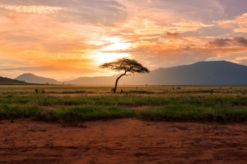 Savane et nature du Congo